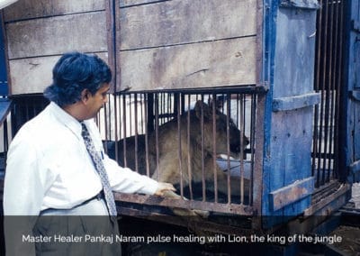 Dr. Naram pulse healing with Lion, the king of the jungle