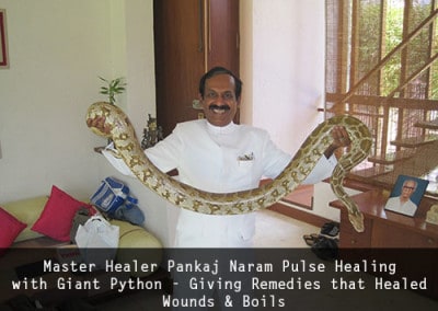 Dr Pankaj Naram Pulse Healing with Giant Python - Giving Remedies that Healed Wounds & Boils