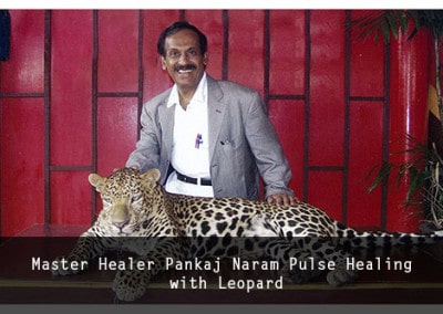 Dr Naram Pulse Healing with Leopard