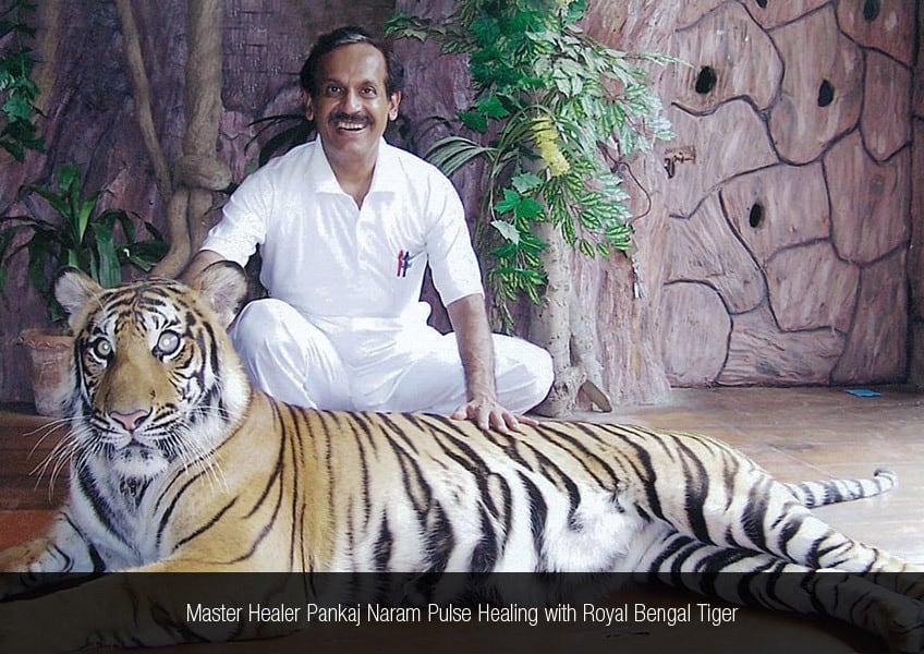About Dr. Pankaj Naram with Royal Tiger