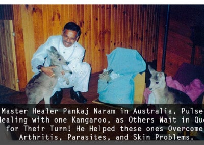 Dr. Naram in Australia, Pulse Healing with one Kangaroo, as Others Wait in Que for Their Turn! He Helped these ones Overcome Arthritis, Parasites, and Skin Problems