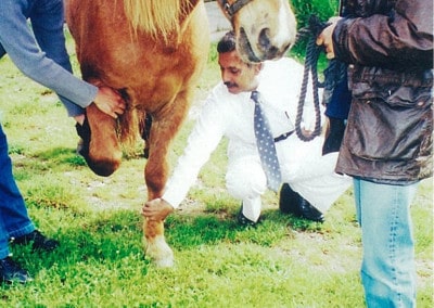 Master Healer Dr. Pankaj Naram pulse healing with Horse