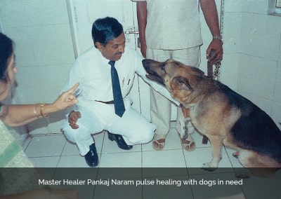 Dr. Naram pulse healing with dogs in need