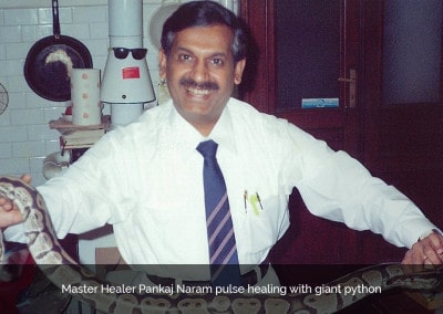 Master Healer Pankaj Naram pulse healing with giant python