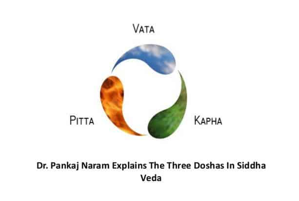 Dr. Pankaj Naram Explains The Three Doshas In Siddha Veda